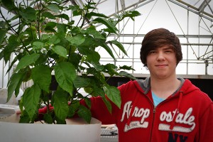 Hunter Burns, 12, with his Trinidad moruga scorpion pepper plant that he is growing in the agri greenhouse. Burns received the seeds for the plant from a neighbor who knew of his fascination with creating his own hot sauces. 