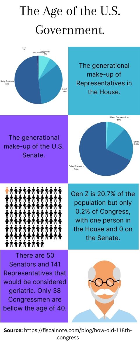 The+Government+Needs+Age+Restrictions+Infographic