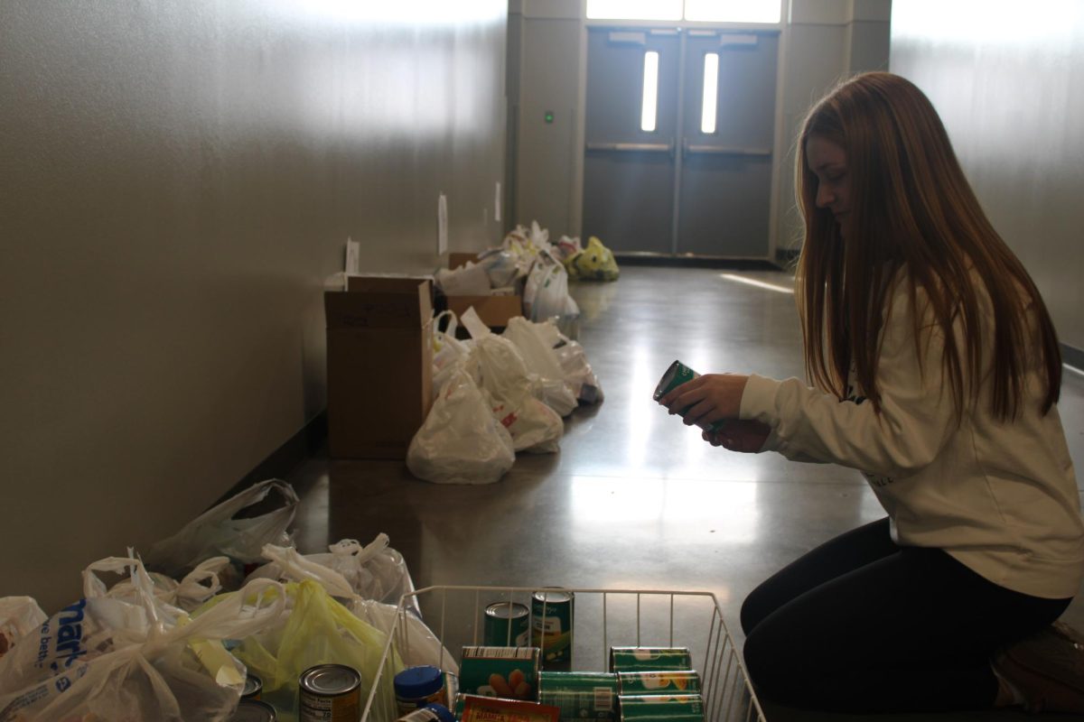 SNAP Shut Down Affects Local Families